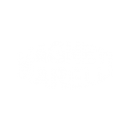 magneti-marelli