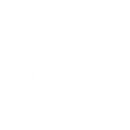 ti-automotive