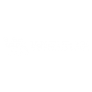 wielton